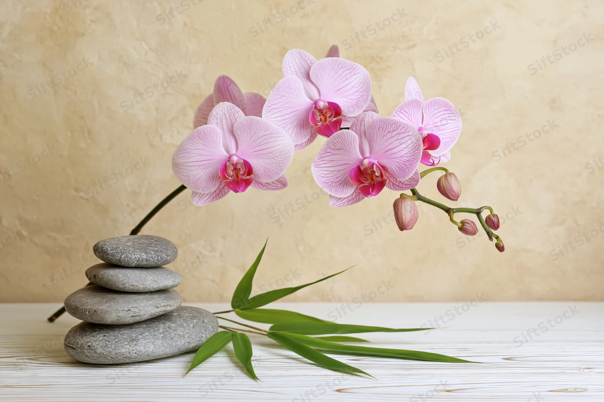 Pink phalaenopsis orchid stem arching over stacked stones with bamboo leaves on wooden surface