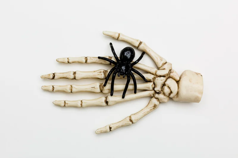 Plastic skeleton hand with black spider lying flat on white background