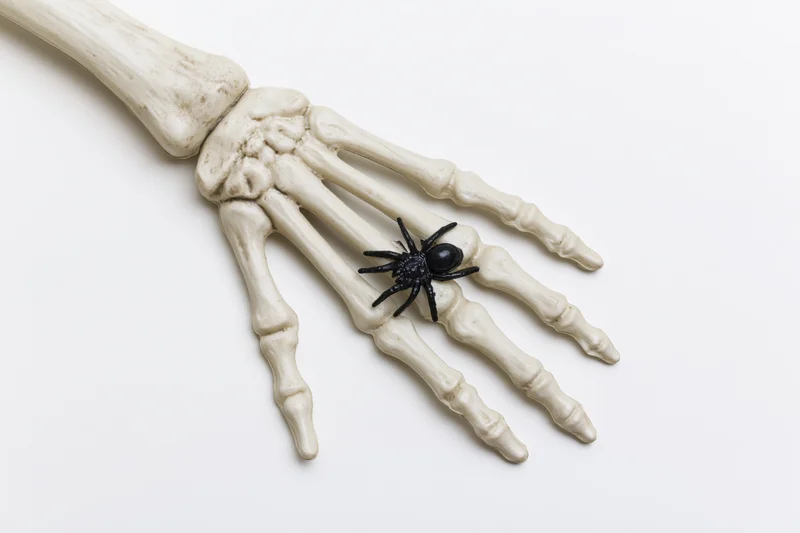 Plastic skeleton hand prop with black spider resting on fingers, lying flat on white surface