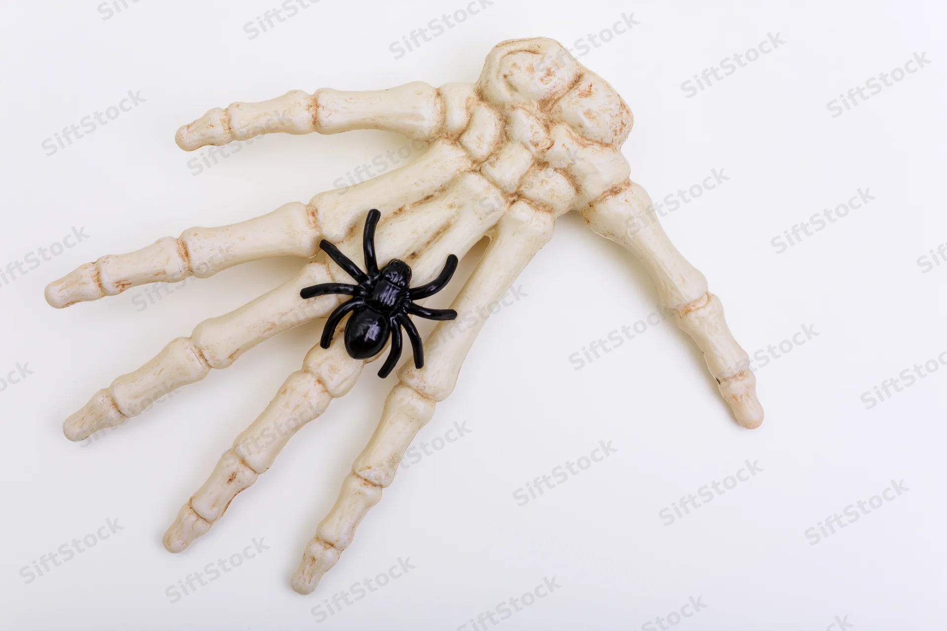 Plastic skeleton hand prop with black spider lying flat on white background