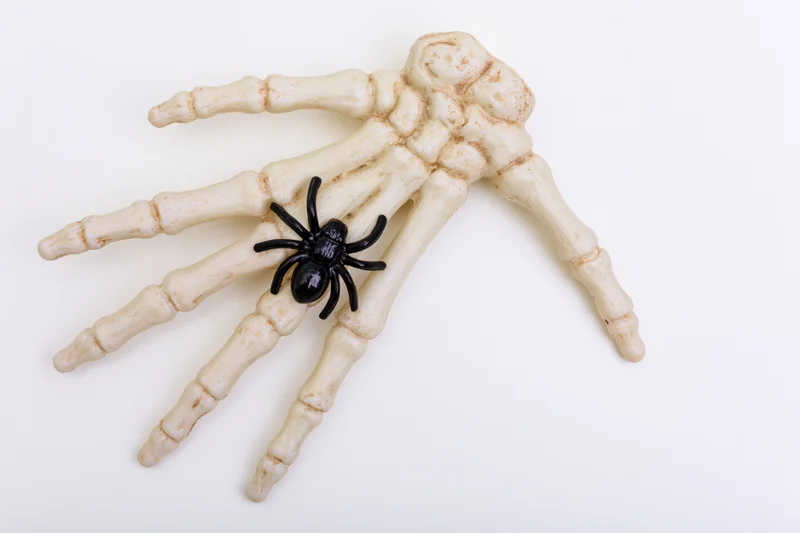 Plastic skeleton hand prop with black spider lying flat on white background