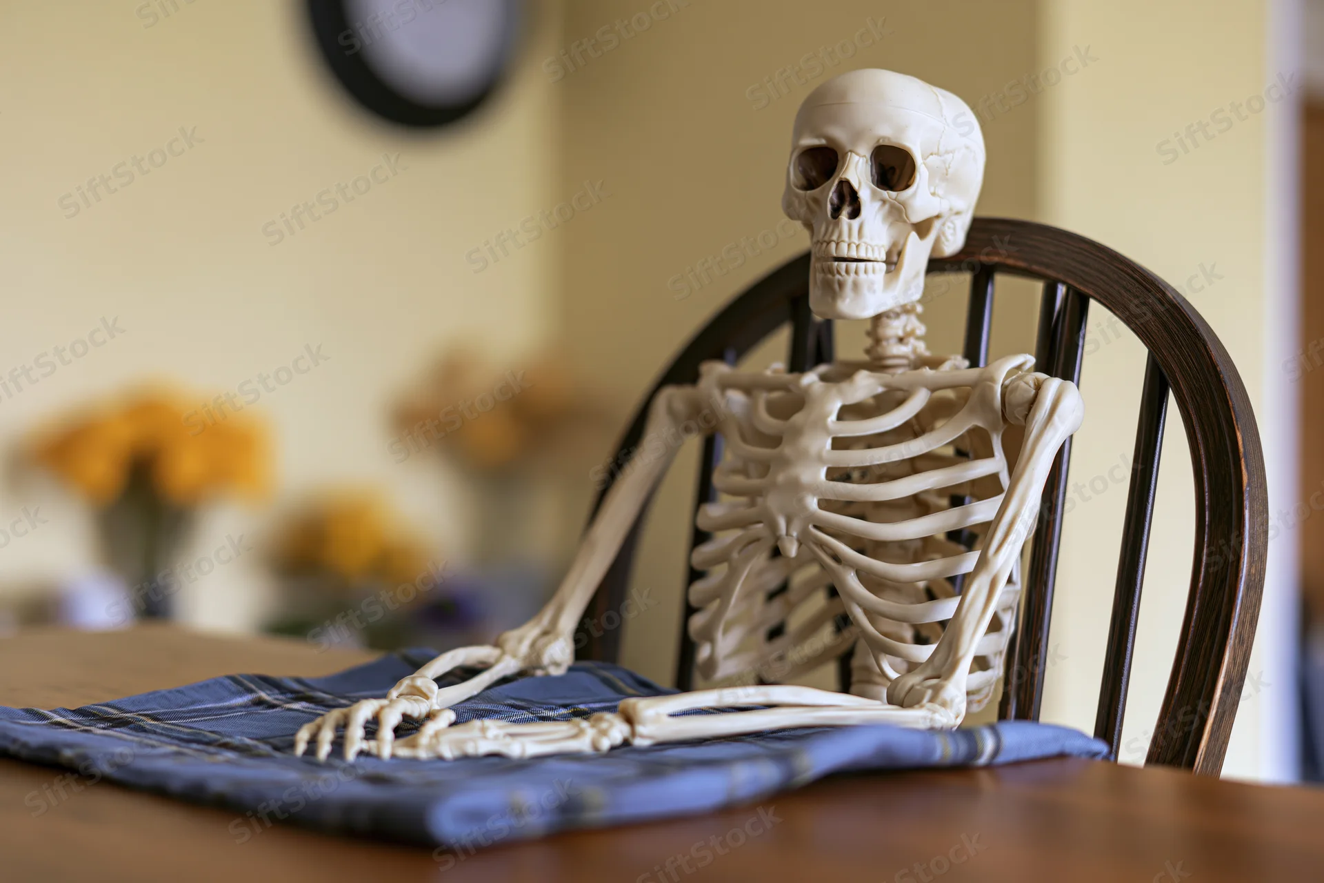 Plastic anatomical skeleton model seated upright at dining table in home interior