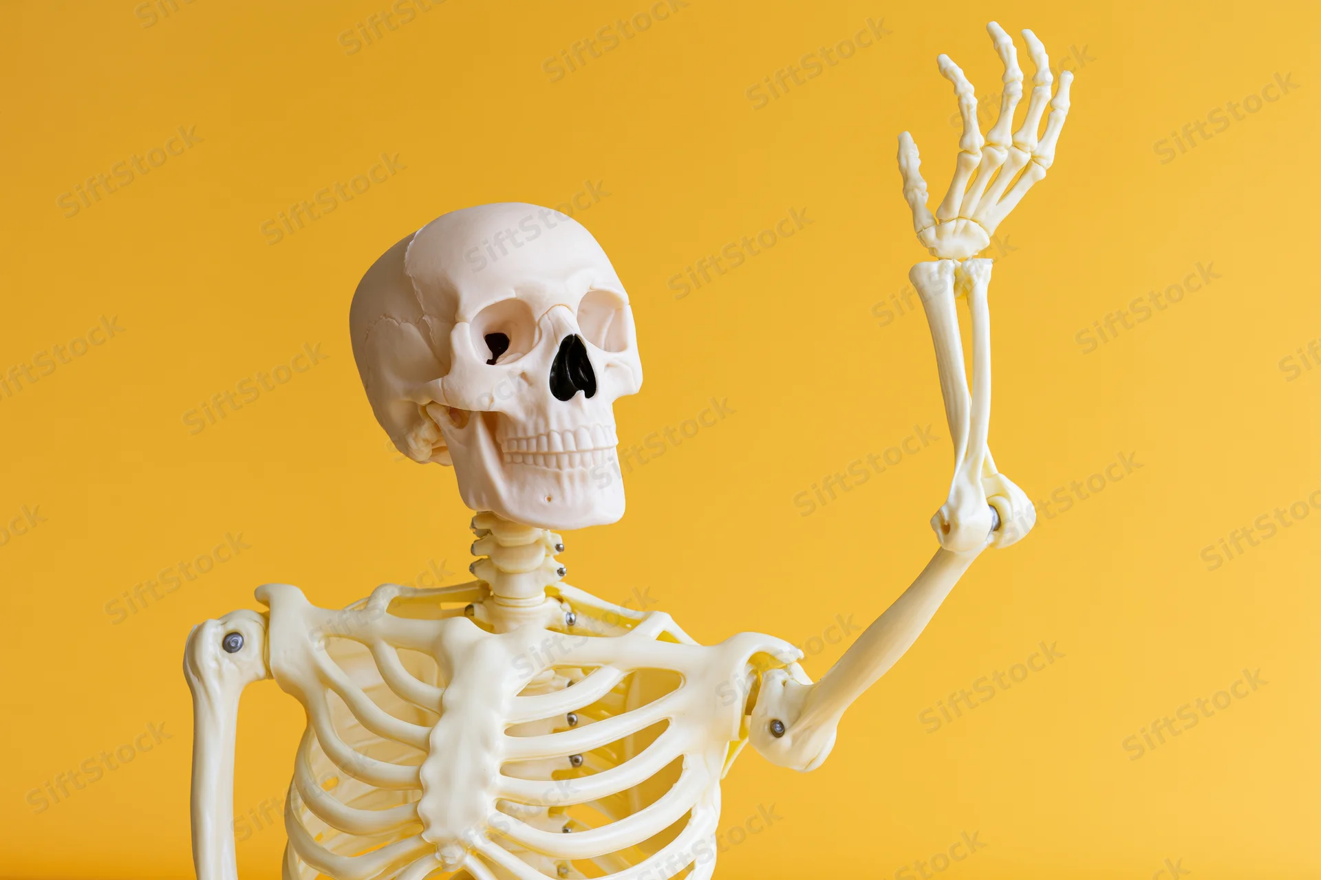 Plastic human skeleton model with one arm raised against yellow background