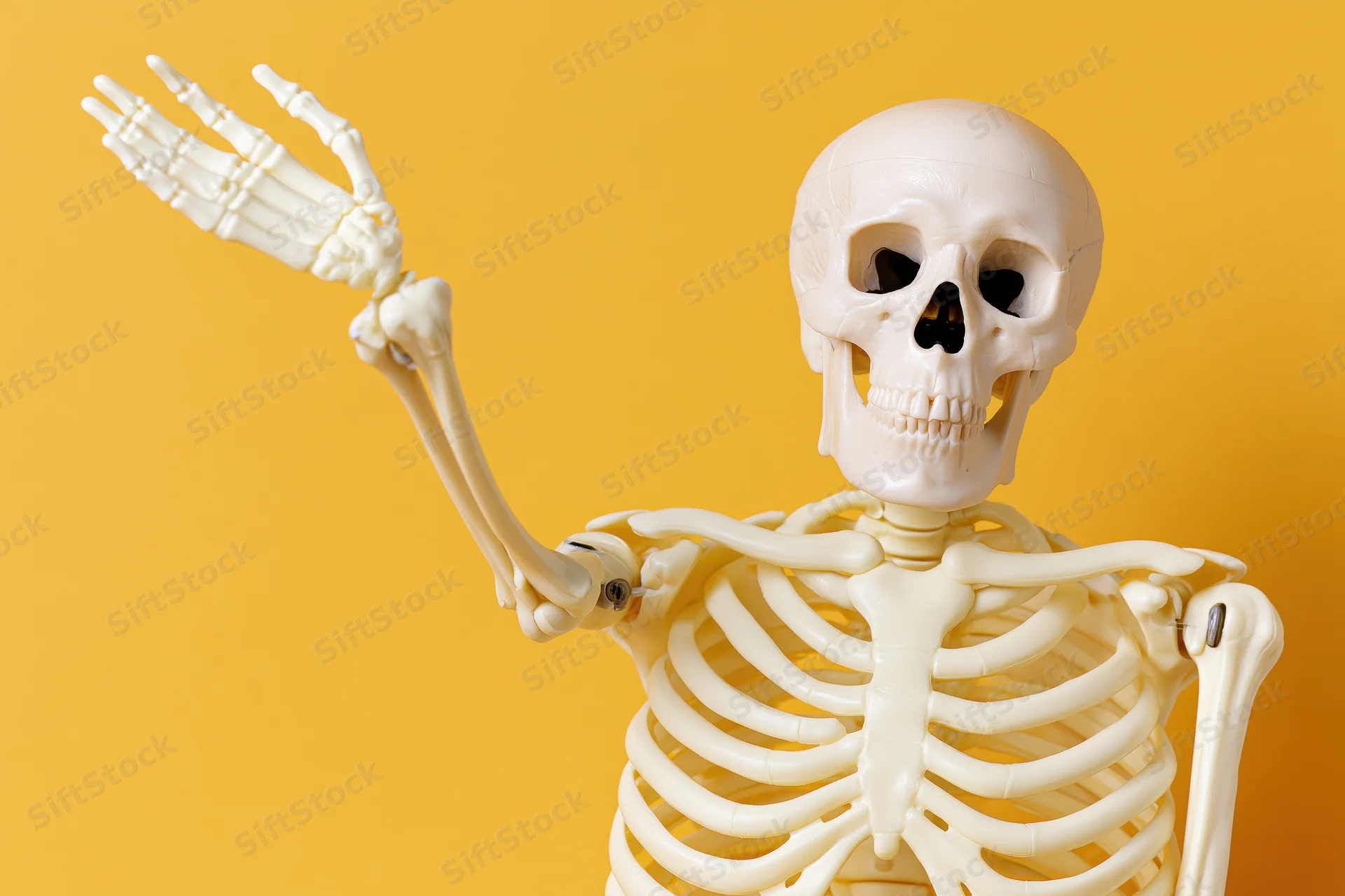 Plastic human skeleton model with one arm raised against yellow background
