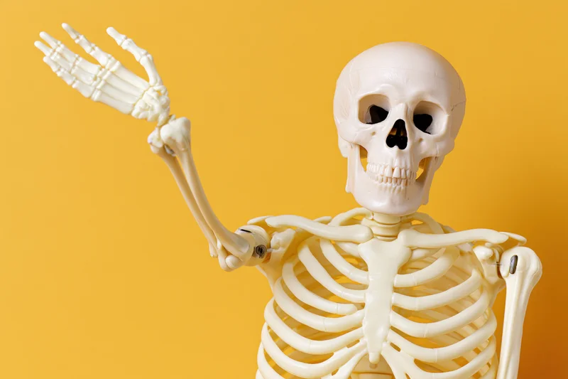 Plastic human skeleton model with one arm raised against yellow background