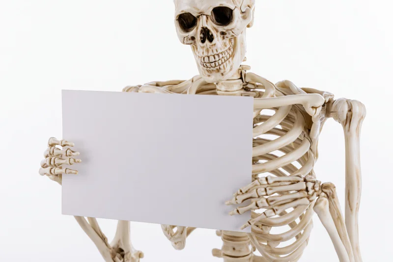 Plastic human skeleton model holding blank white rectangular sign isolated on white background