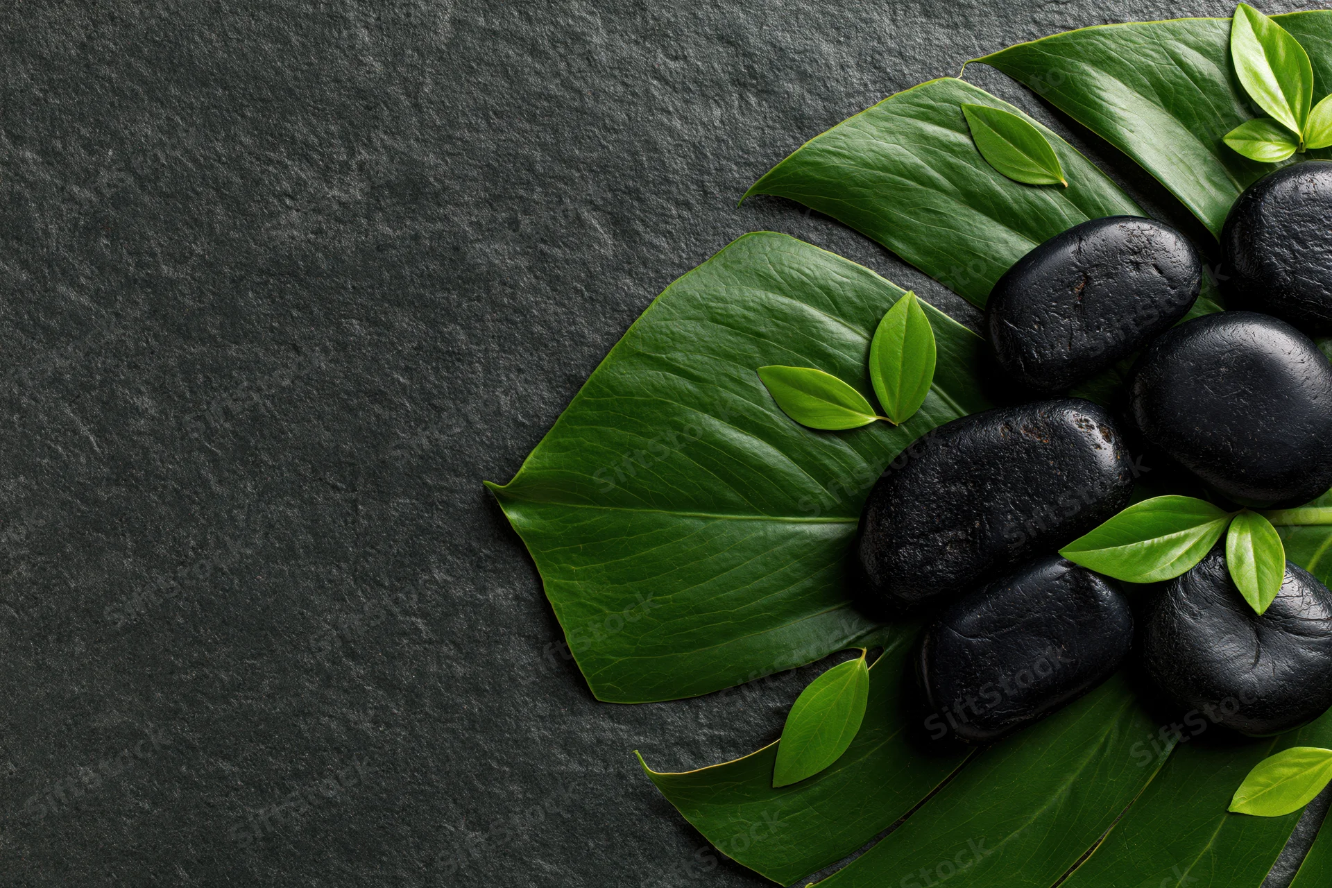 Polished black basalt spa stones arranged on large monstera leaves on dark slate surface