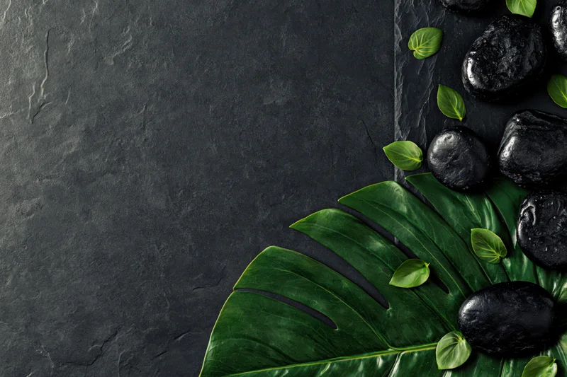 Large monstera leaf with polished black basalt stones on dark textured surface