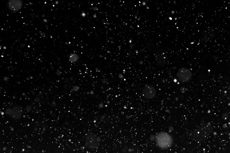 Snowflakes falling against a black night sky