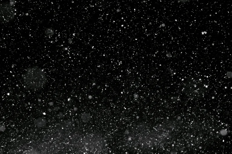 Snowflakes falling against a black night sky