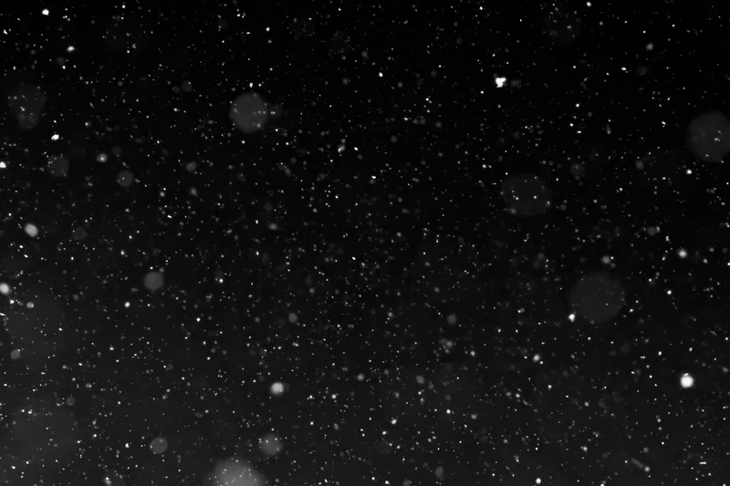 Snowflakes falling against a black night sky
