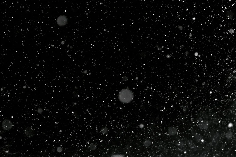Snowflakes falling against a black night sky