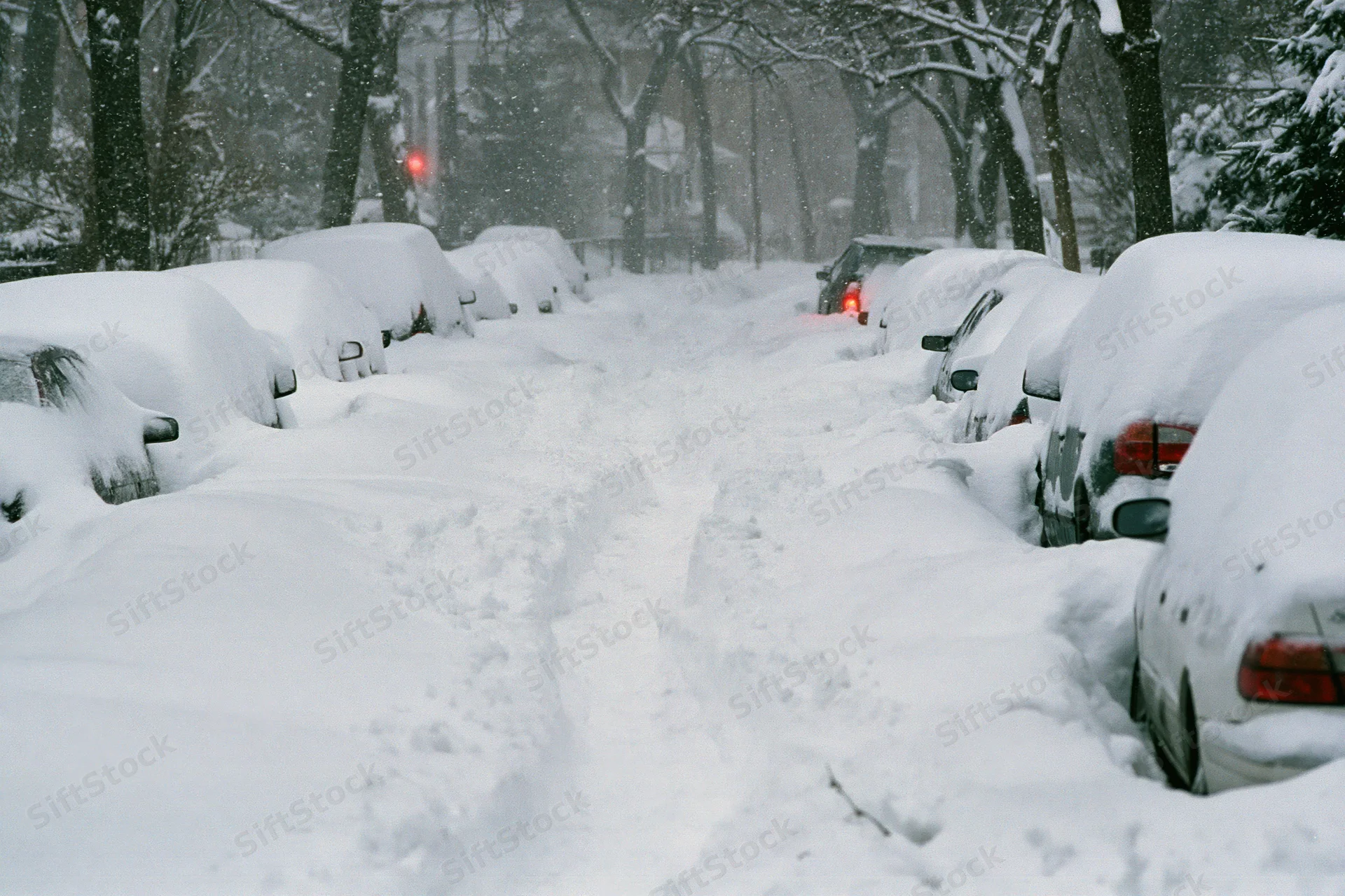 Snow-covered residential street with parked cars during heavy snowstorm