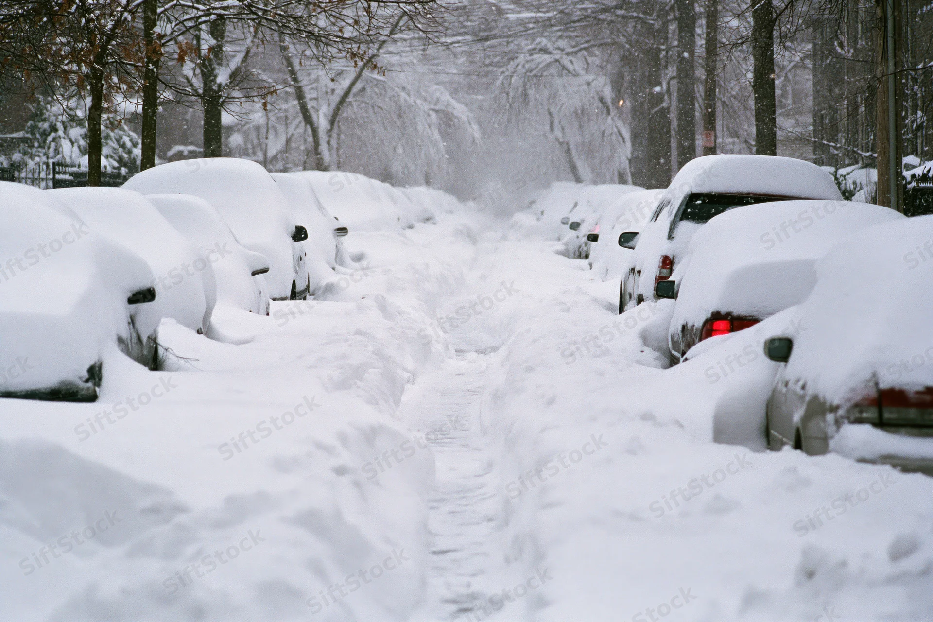 Snow-covered residential street with parked cars during heavy snowstorm