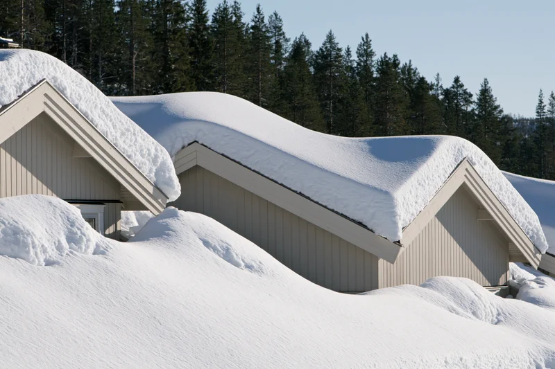 Row of pale grey scandinavian houses with thick snow on roofs and ground surrounded by pine forest