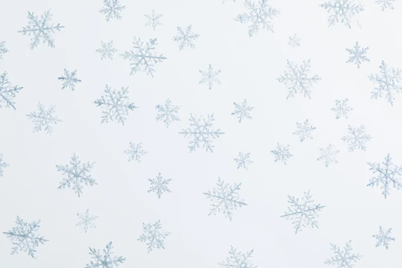 Scattered delicate snowflakes of varying sizes floating against a white background