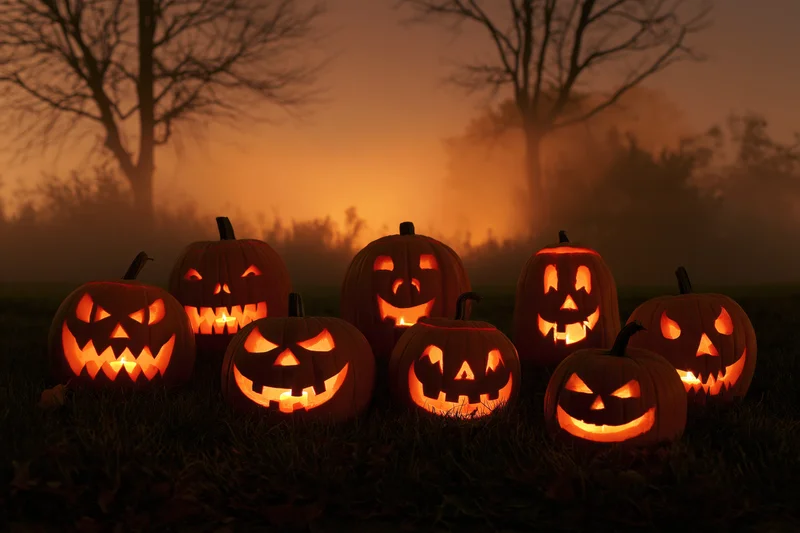 Seven carved jack-o-lanterns glowing on dark grass in a foggy forest at night