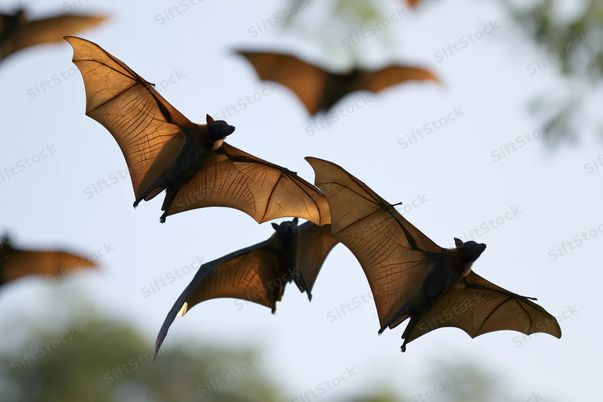 Fruit bats flying with wings fully spread in midair against a soft sky backdrop