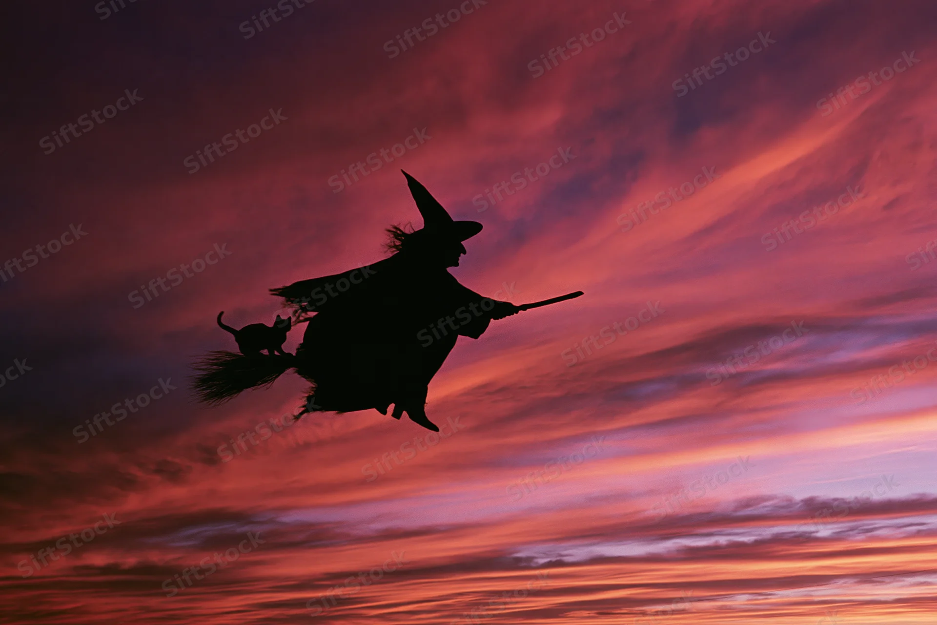 Witch flying on broomstick with cat against red and purple sunset sky