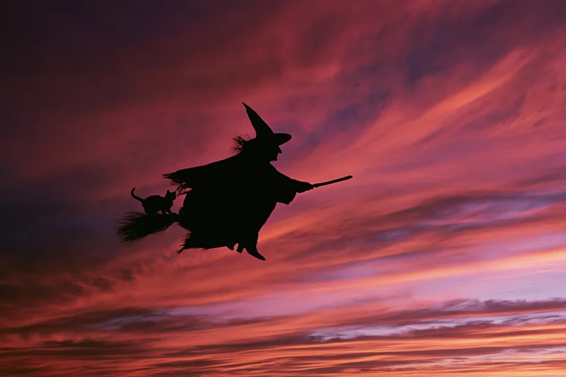 Witch flying on broomstick with cat against red and purple sunset sky