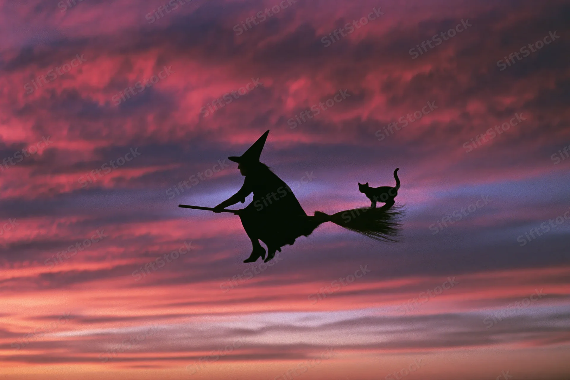 Witch flying on broomstick with cat against colorful twilight sky