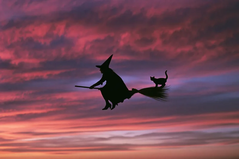 Witch flying on broomstick with cat against colorful twilight sky