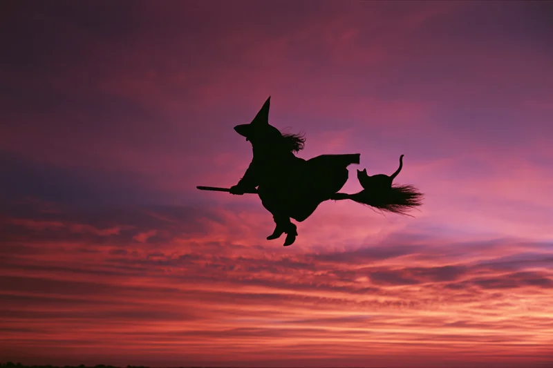 Silhouette of a witch flying on a broomstick with a cat against a colorful sunset sky