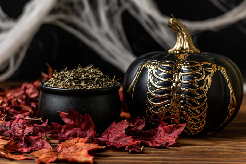 Black pumpkin with gold skeleton design and small cauldron filled with dried herbs on wooden table surrounded by red autumn leaves