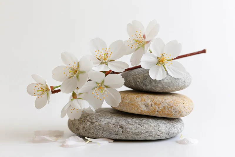 White cherry blossoms resting on a stack of smooth stones against a plain white background