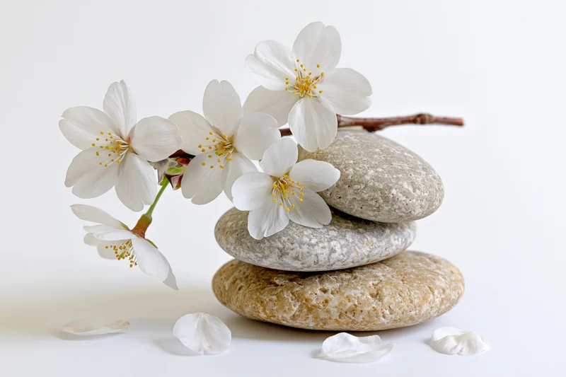 White cherry blossoms on a stack of smooth stones against a white background