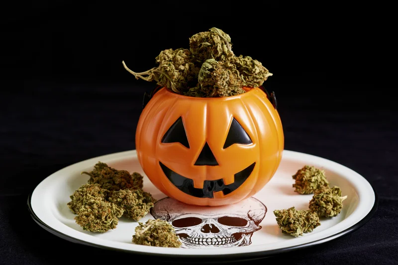 Orange plastic jack-o-lantern bucket filled with cannabis buds on a white plate with skull design against dark background