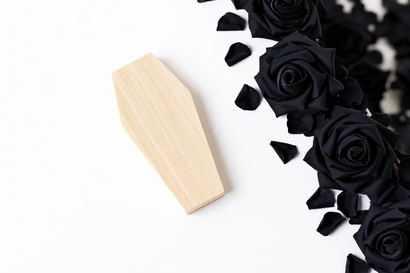 Miniature wooden coffin with black roses and petals arranged on white background