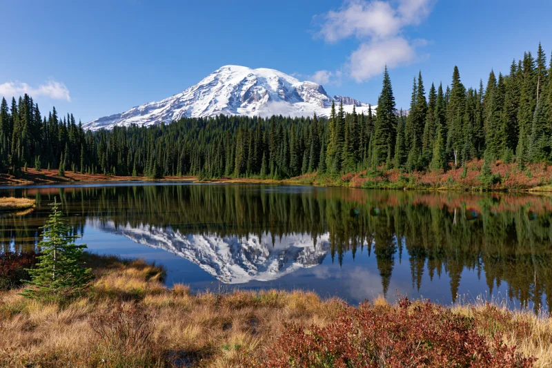 Snow-capped mountain reflected in calm lake surrounded by evergreen forest and autumn foliage