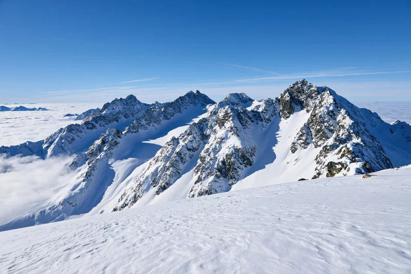 Snow-covered alpine peaks rising above a sea of clouds under a clear blue sky