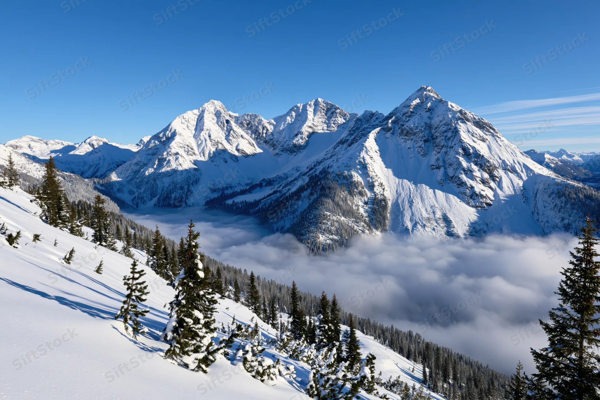 Snow-covered alpine peaks rising above a cloud-filled valley with evergreen trees on slopes under clear blue sky