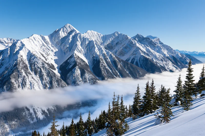 Snow-covered alpine mountain range rising above a low cloud layer with pine trees on a snowy slope under a clear blue sky