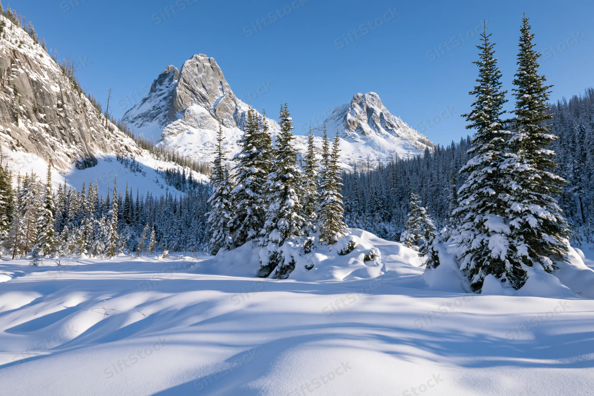 Snow-covered alpine valley with frost-laden spruce trees under clear blue sky