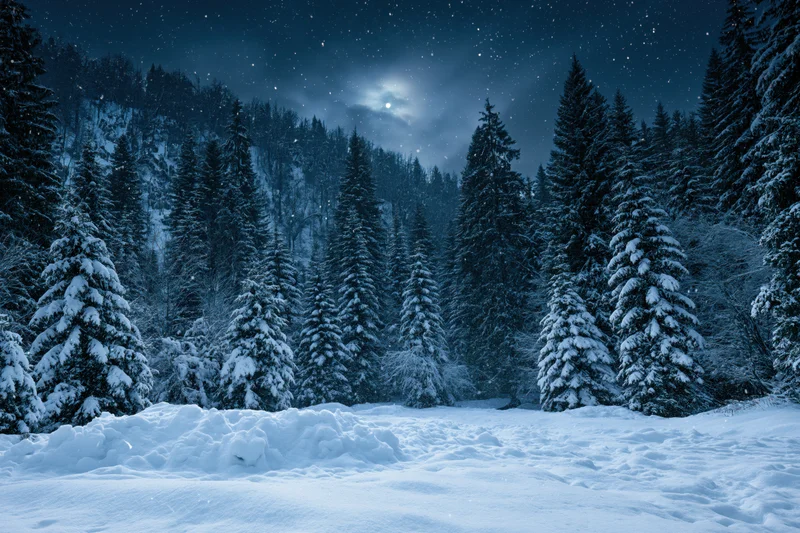 Snow-covered evergreen forest at night under moonlight with falling snow