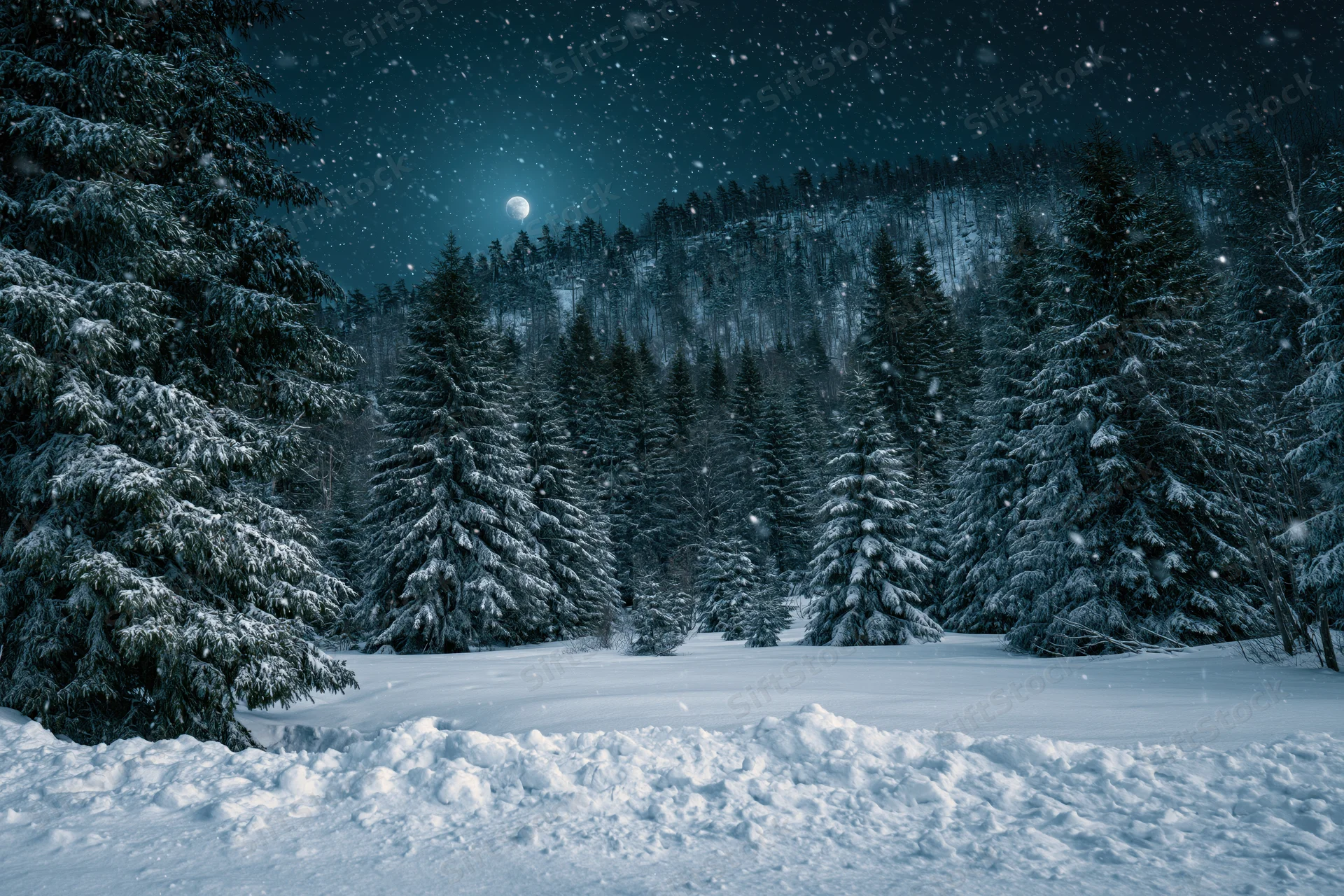 Snow-covered evergreen forest at night with falling snow under a moonlit sky