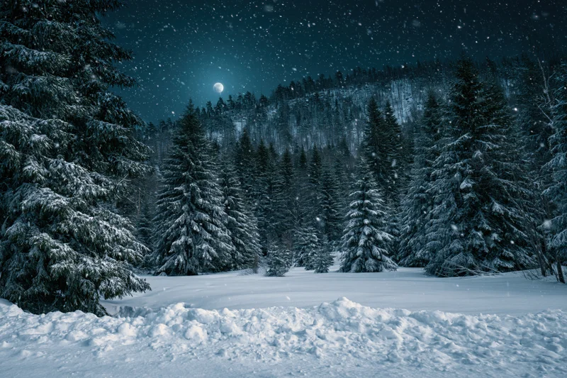 Snow-covered evergreen forest at night with falling snow under a moonlit sky