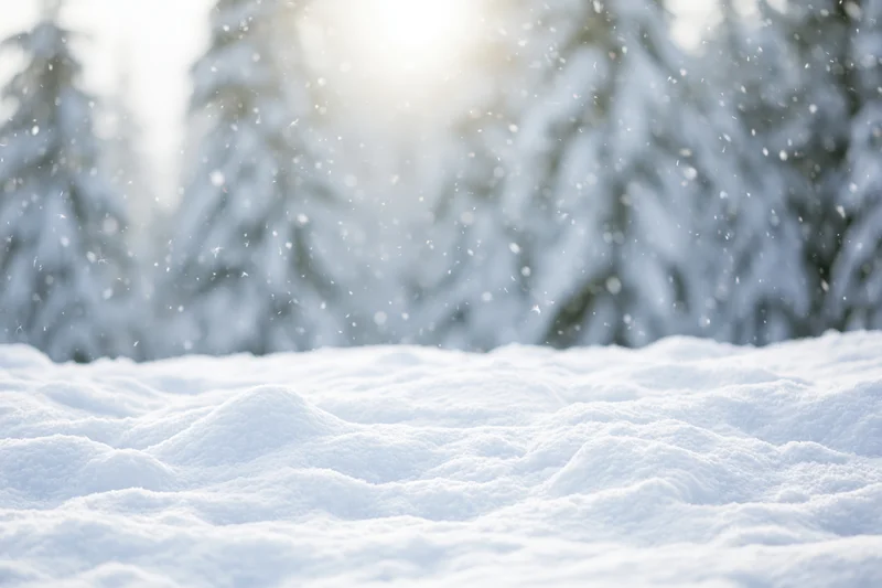 Snow-covered ground with soft mounds in front of blurred evergreen trees during winter