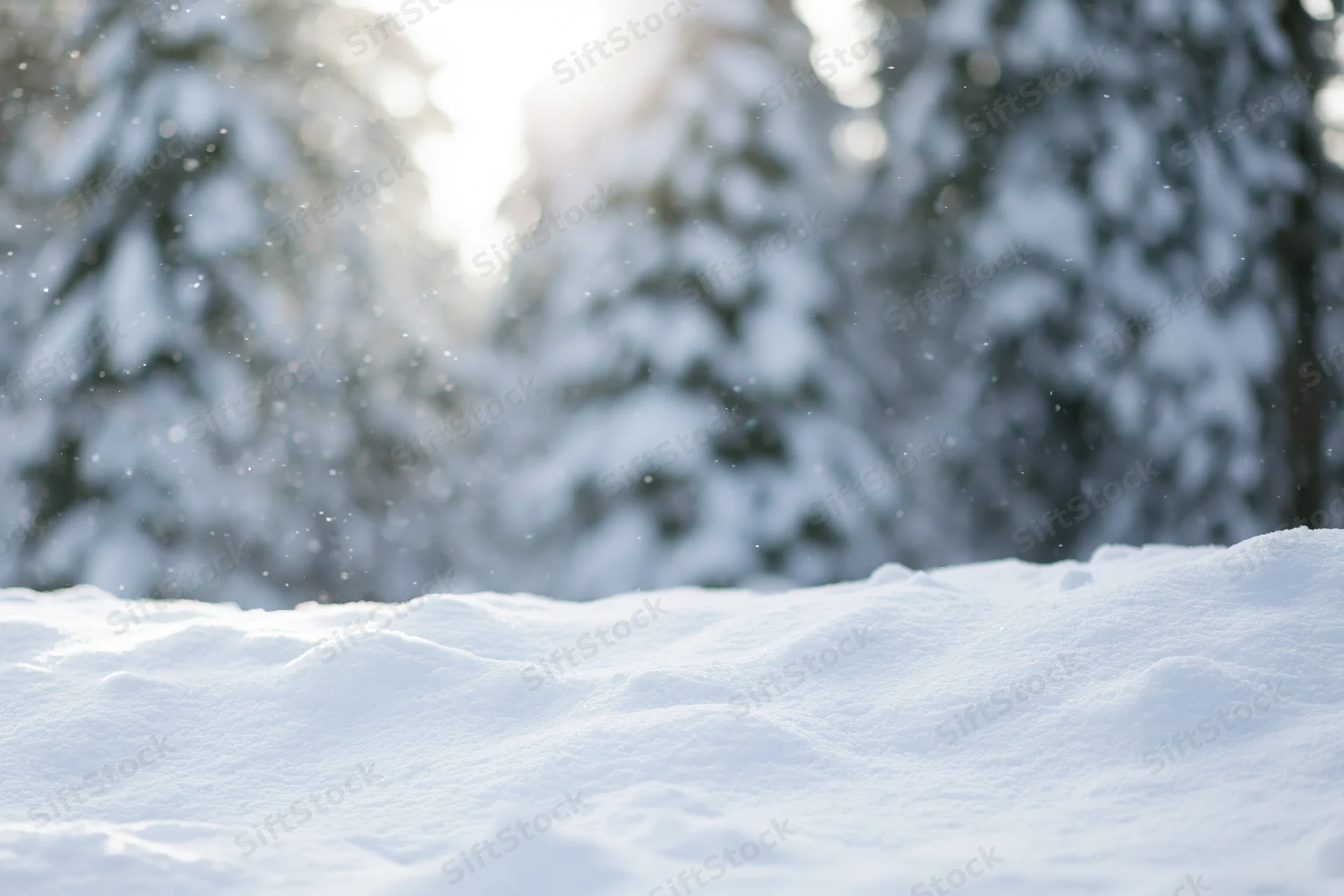 Snow-covered ground with soft mounds in front of snow-laden pine trees in a forest