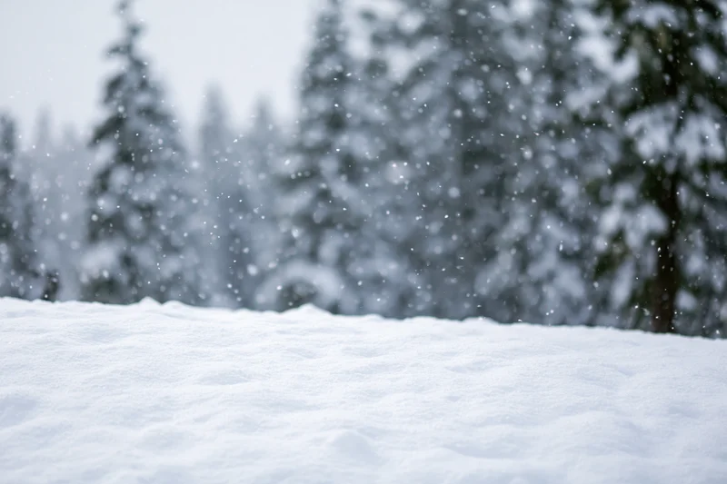 Snow-covered ground in foreground with blurred evergreen trees in background
