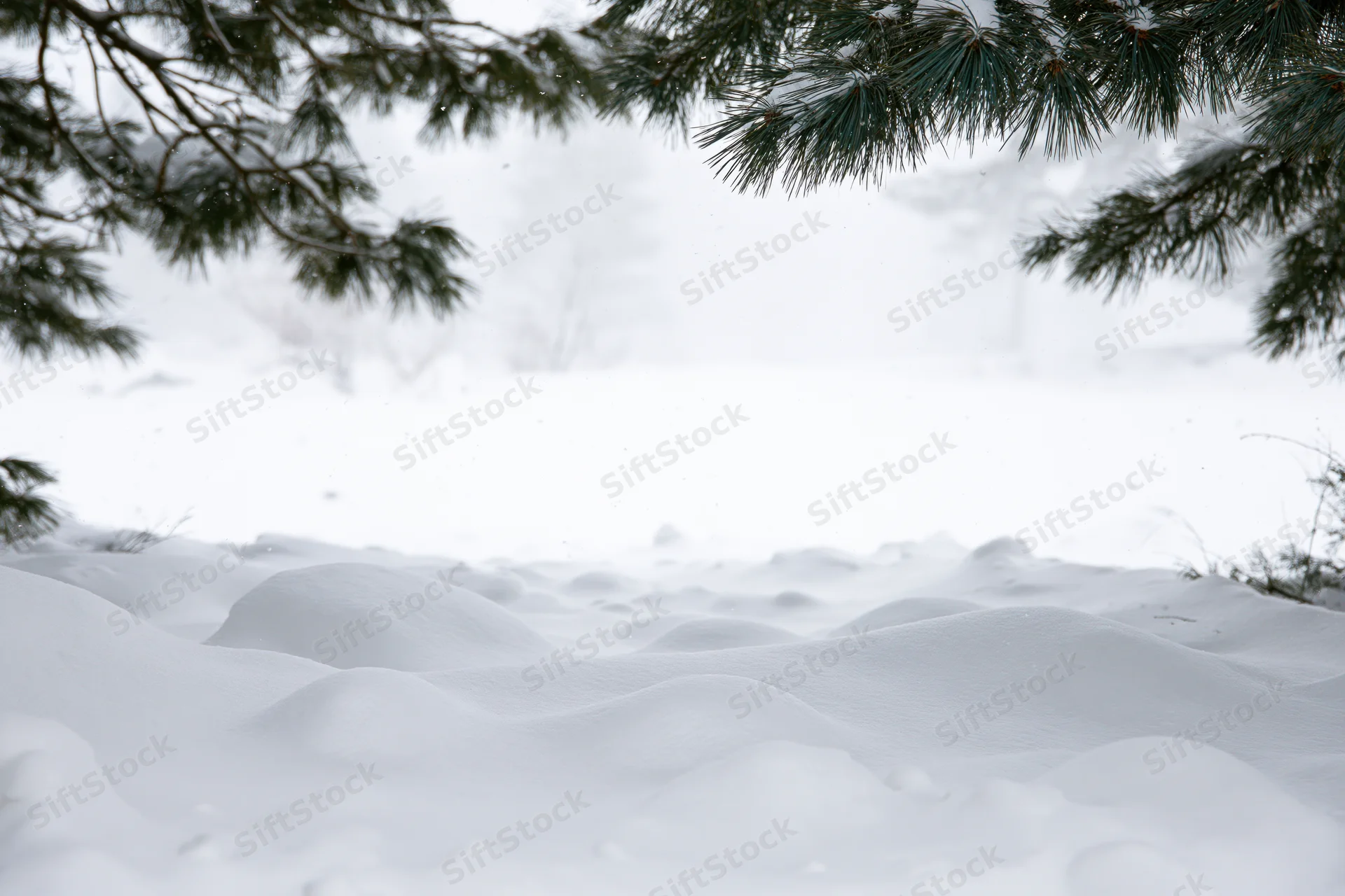 Snow-covered ground with rounded drifts and mounds under pine branches in a forest