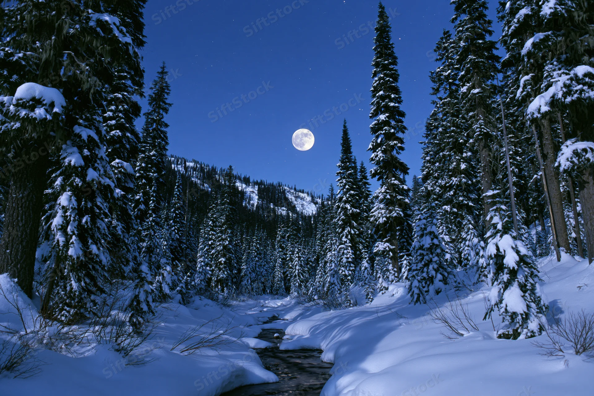 Snow-covered pine forest at night with a small stream flowing through it under a full moon