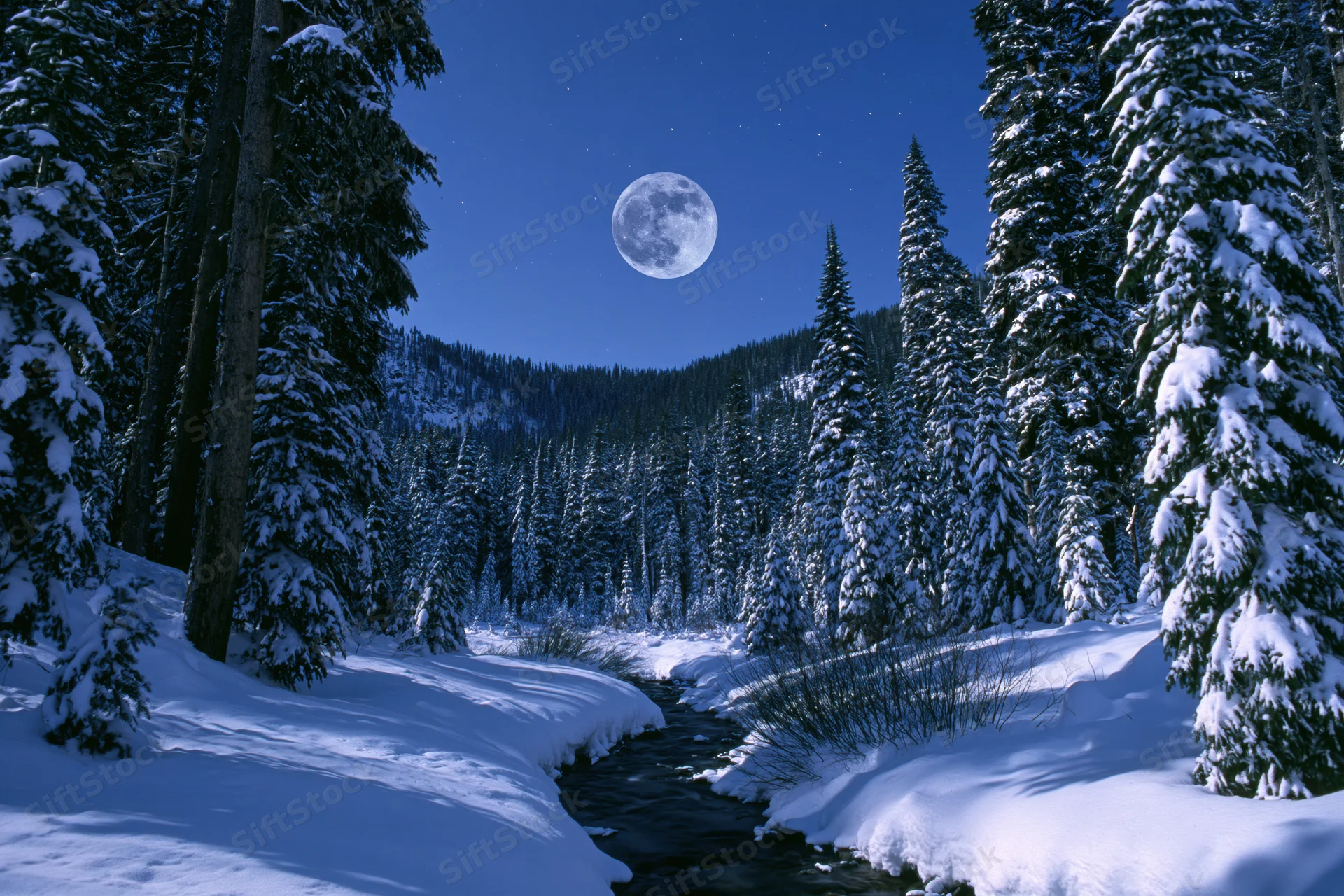 Snow-covered forest at night with a stream flowing through it under a full moon