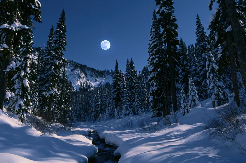 Snow-covered mountain forest at night with a small stream flowing through it under a full moon