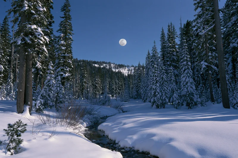 Snow-covered mountain forest at night with a small stream winding through it under a full moon