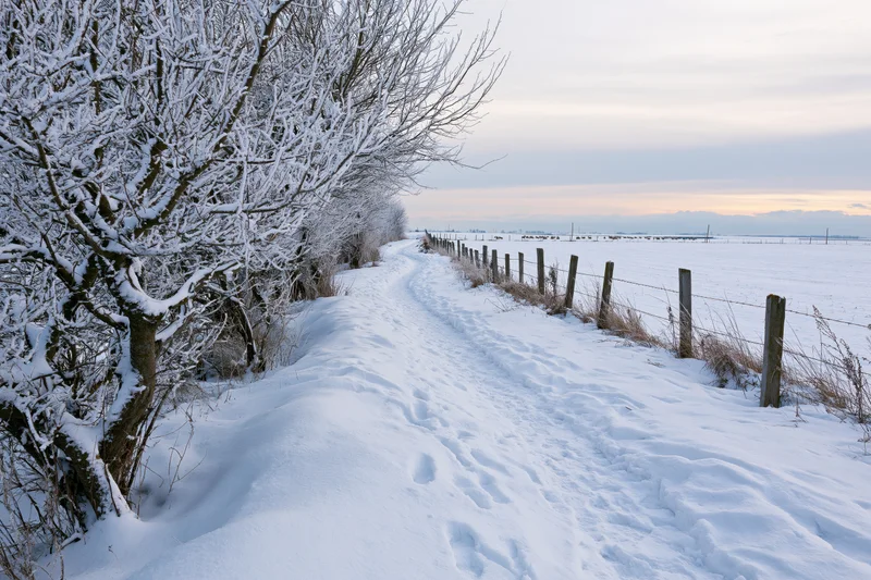Snow-covered rural path winding through a flat winter landscape with bare trees and wooden fence