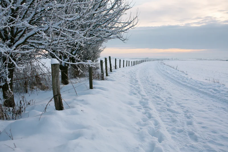 Snow-covered rural path winding through a flat winter landscape with bare trees and wooden fence